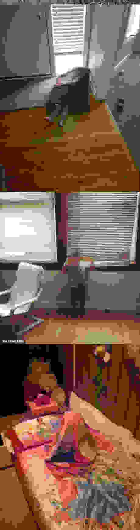 012KIDSHIDE