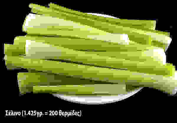 02selino