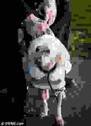 0arti