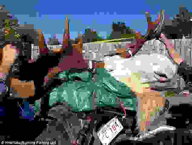 0article-2450896-18a3af0500000578-33 634x479