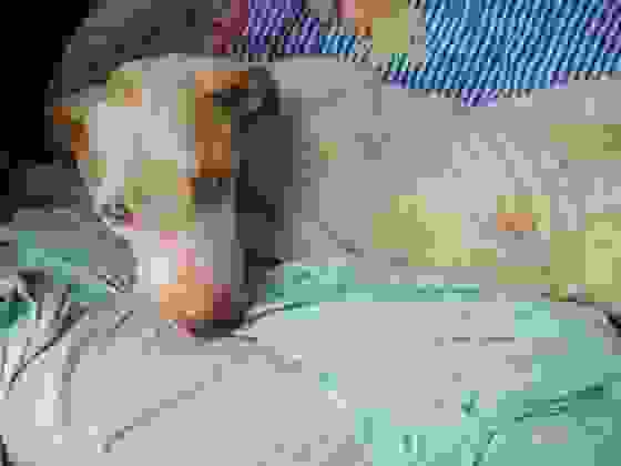 0davi5