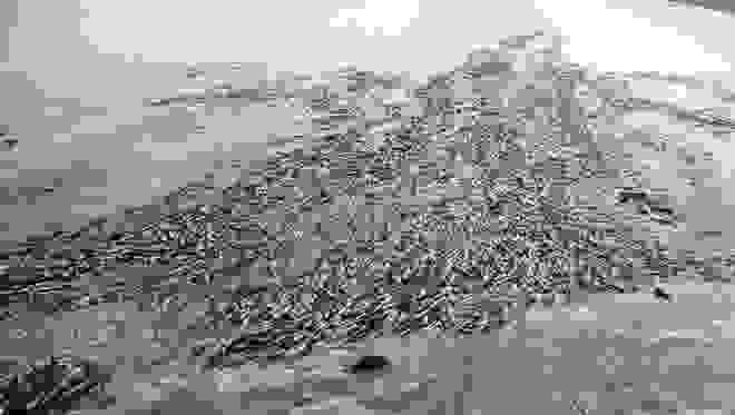0xrl75f9g 2