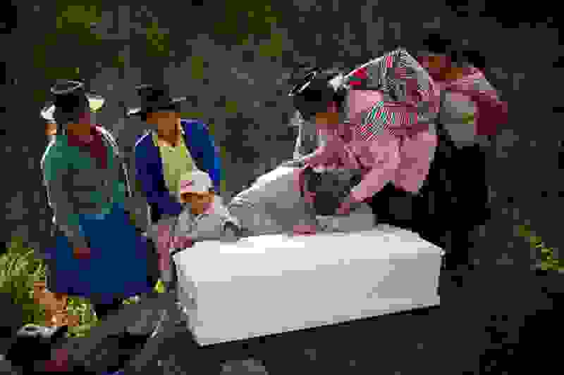 perou27.jpg