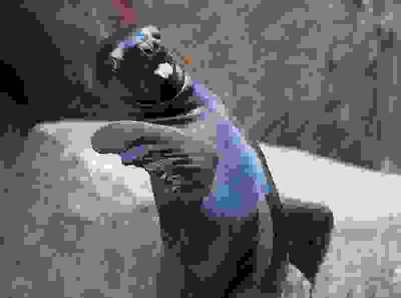 1404066344_328__880.jpg
