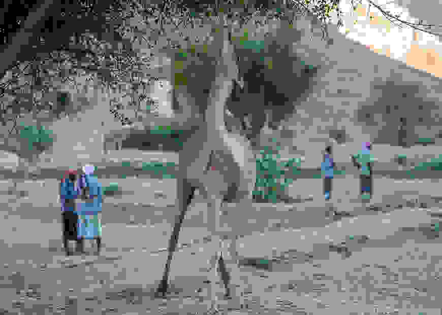 18-Wadi-Doan-26.12.14.jpg