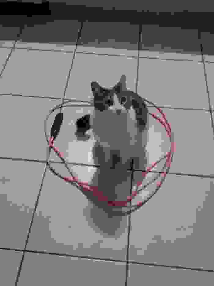 1926928_10152752533847978_8896680515459934496_n__700.jpg