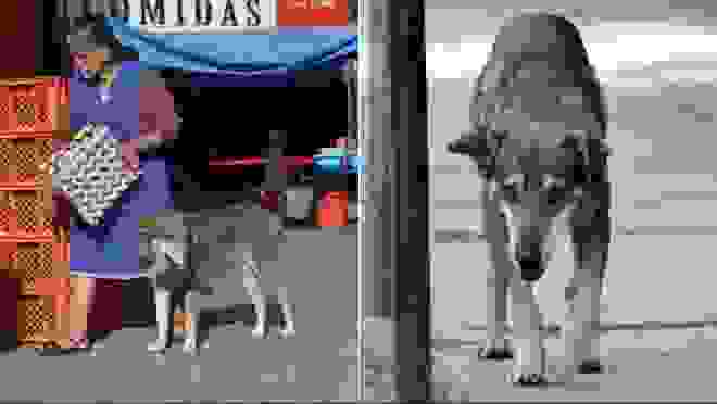 1hatci