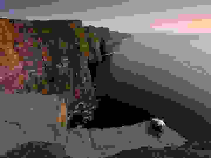 36226-569-11