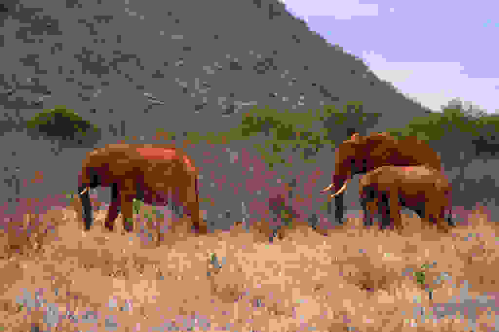 3878264810_d7b4e87d97_b.jpg