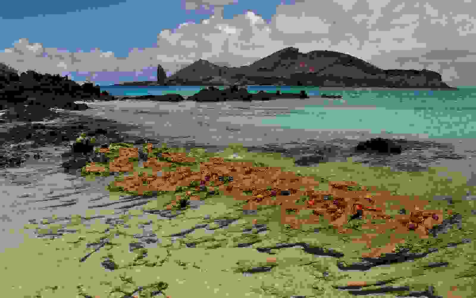 5-galapagos-islands.jpg