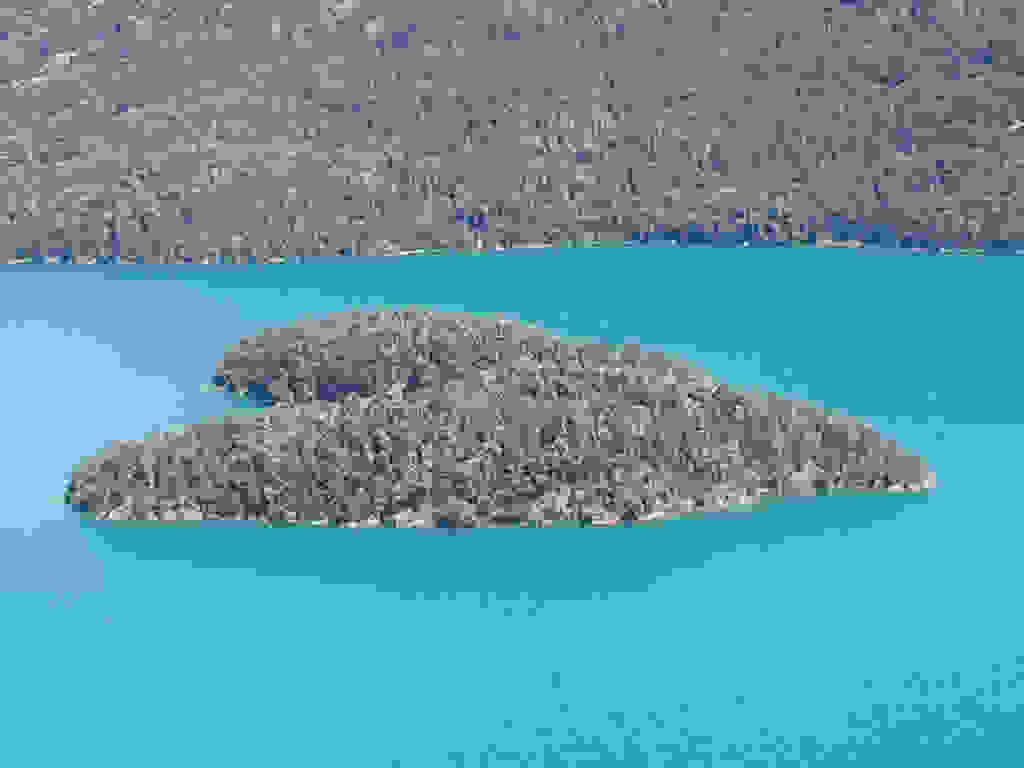 7440387458 fbf39964b1 b