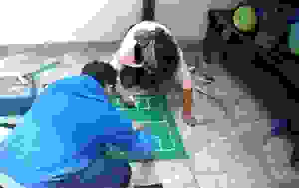 9544559565383194454