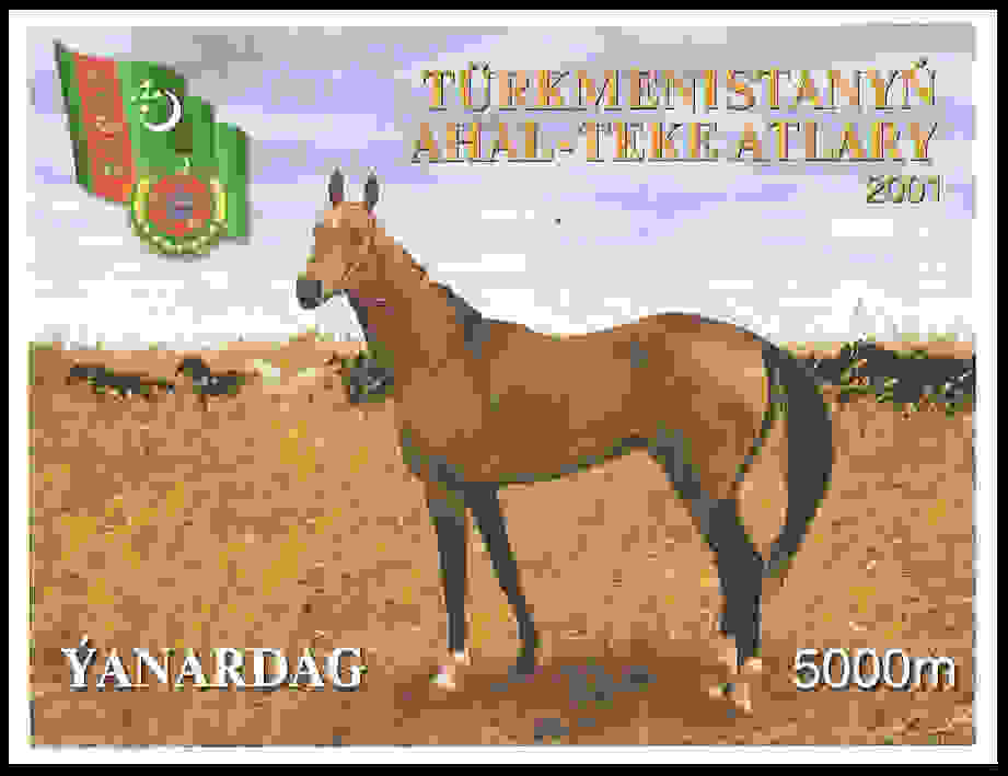 Akhal-Teke2001.jpg