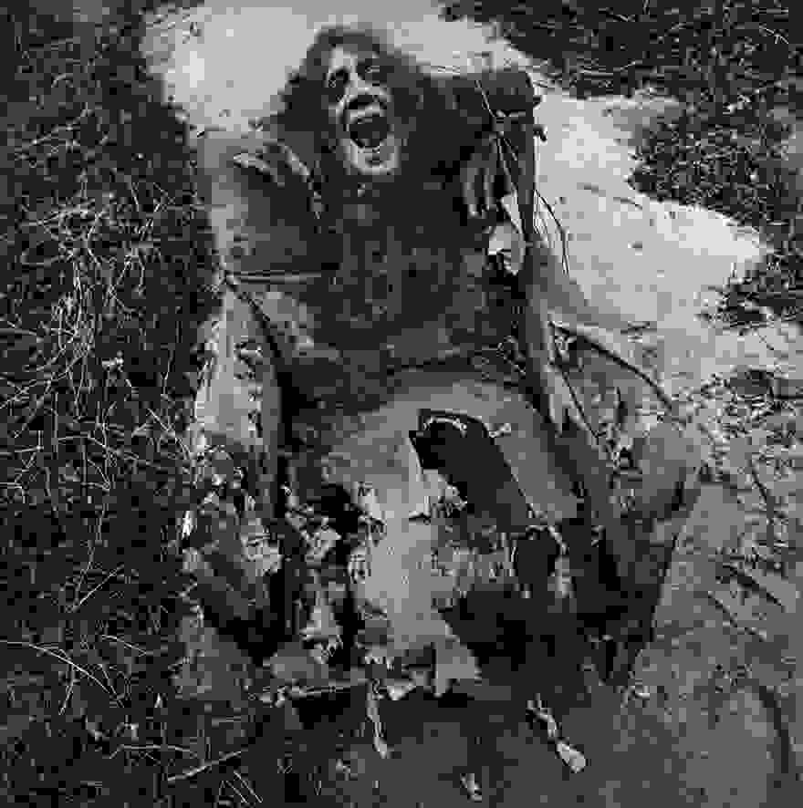 ArthurTress9.jpg