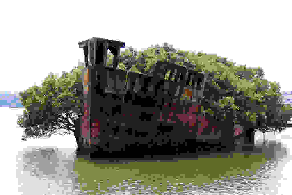Ayrfield3.jpg