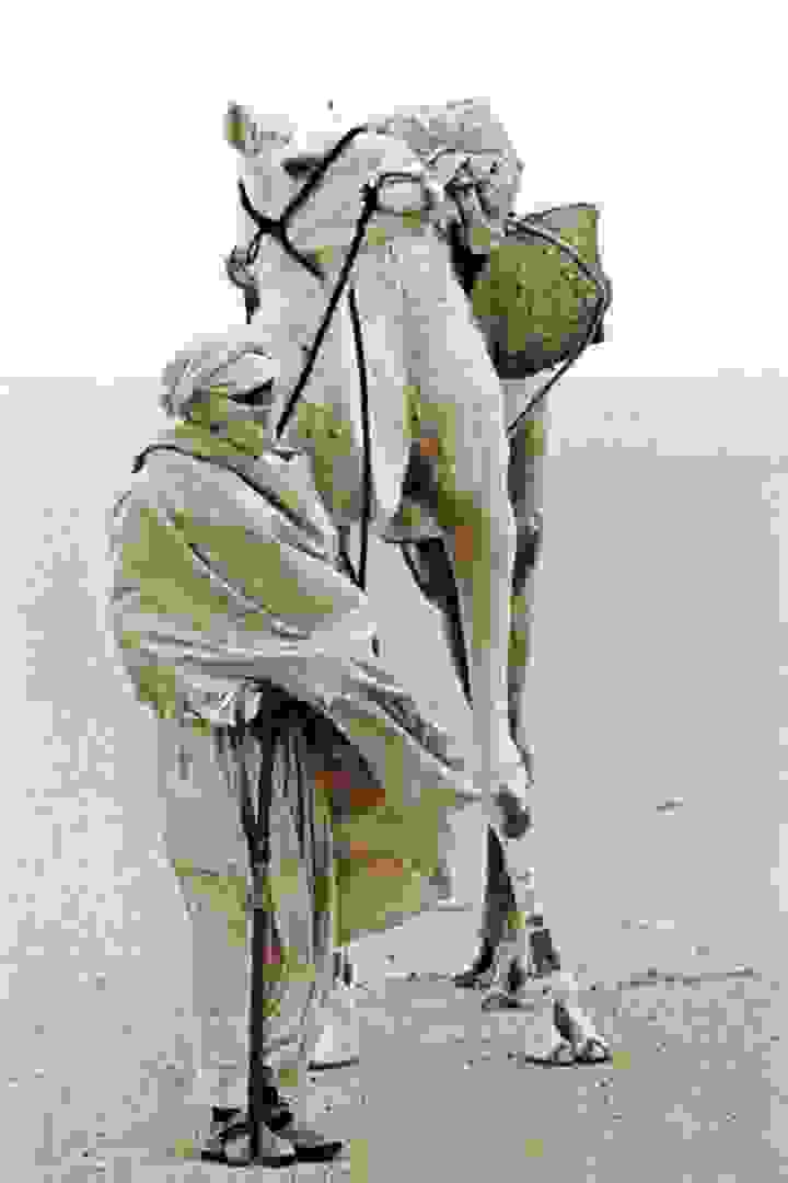 Bedouin-women-and-men-14.jpg