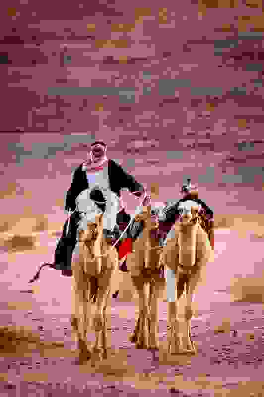 Bedouin-women-and-men-7.jpg