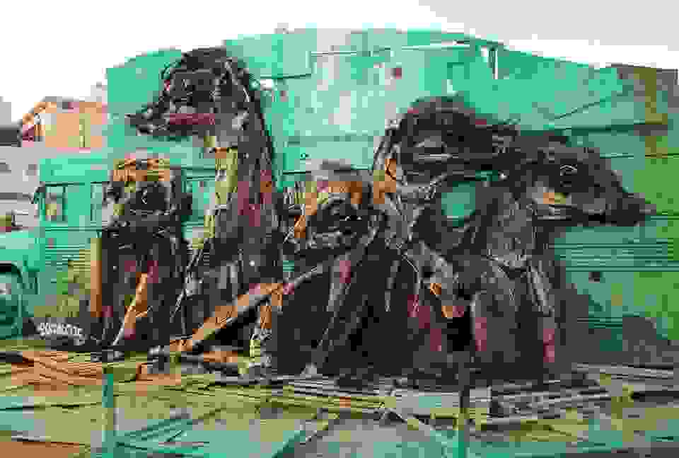 Bordalo-Segundo3.jpg