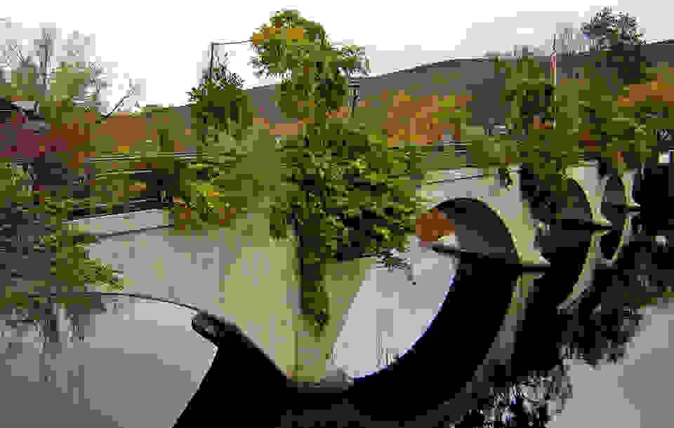 Bridge-of-Flowers2.jpg