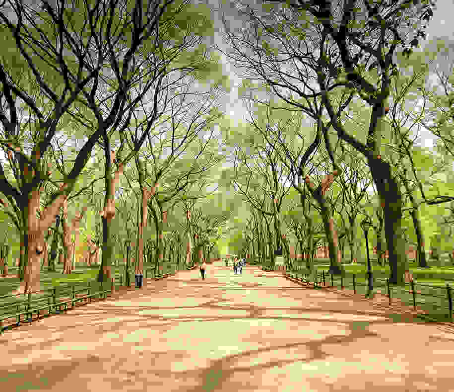 Central-Park1.jpg