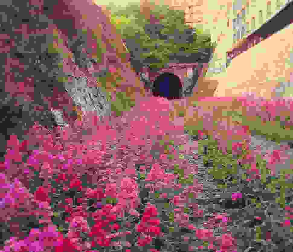 Chemin-de-fer-de-Petite-Cei0.jpg