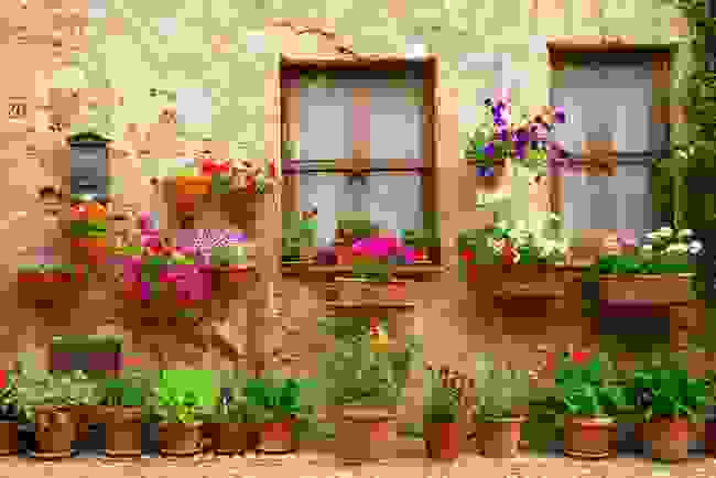 Chianti434.jpg