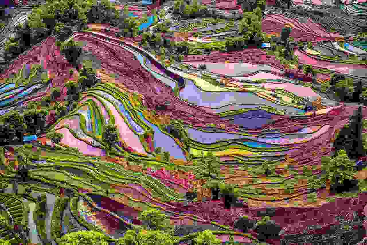 China-rice-terrace-0.jpg