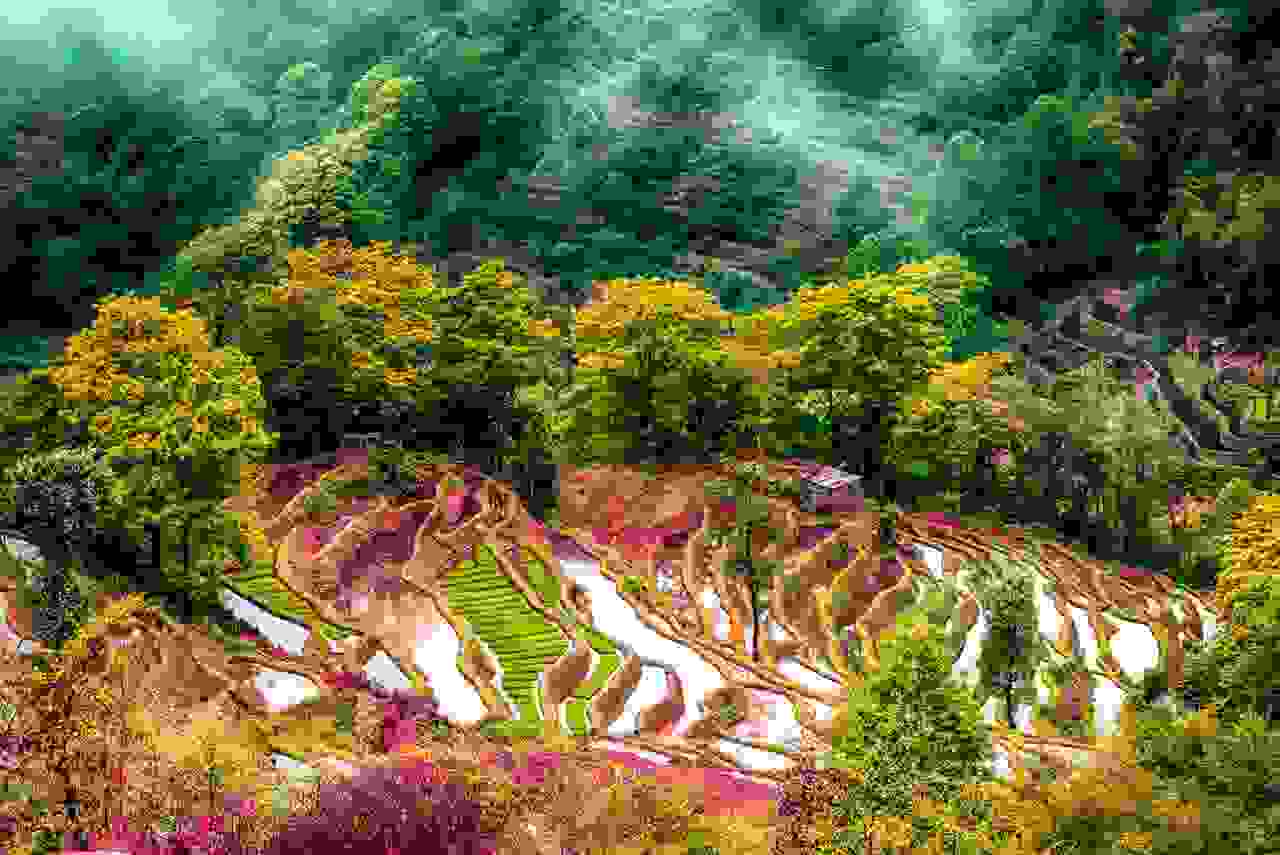China-rice-terrace-4.jpg