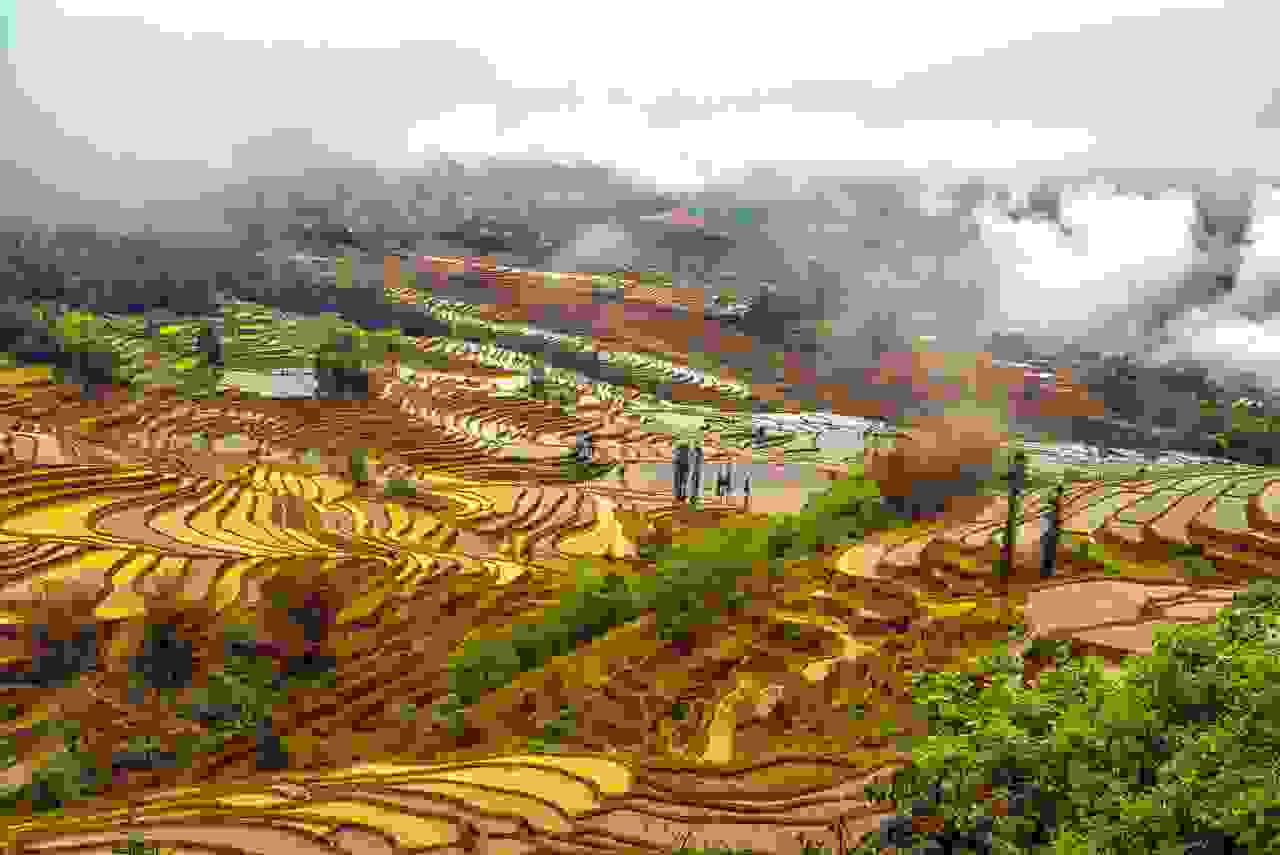 China-rice-terrace-6.jpg