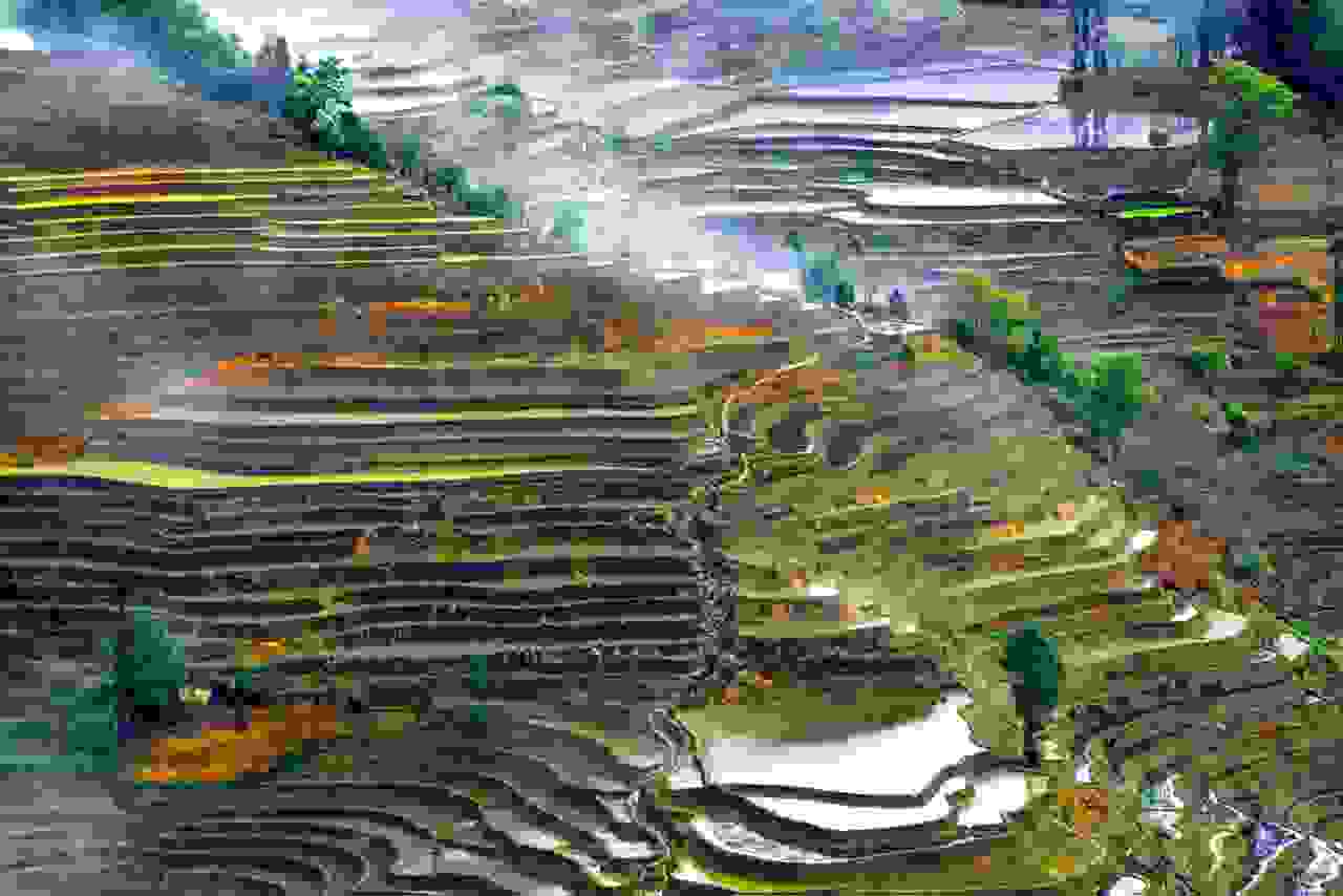 China-rice-terrace-8.jpg