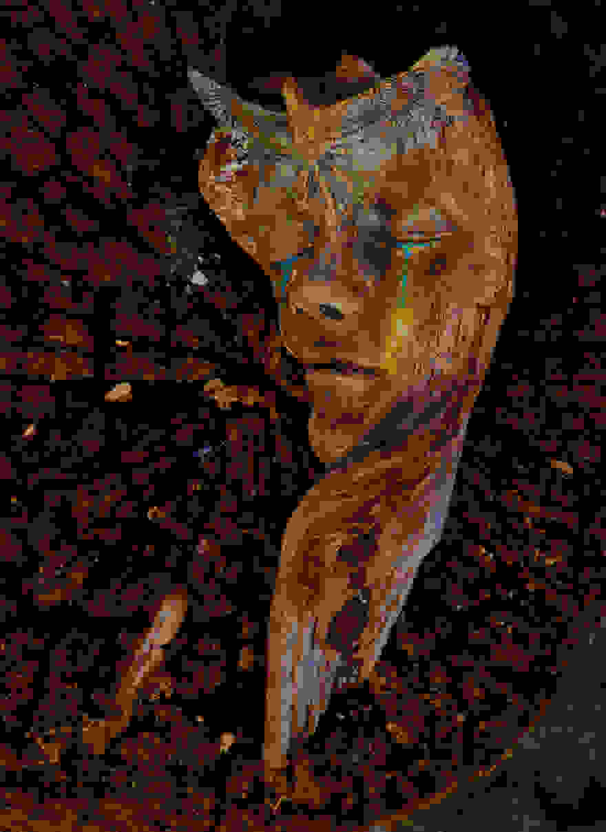 Debra-Bernier2.jpg