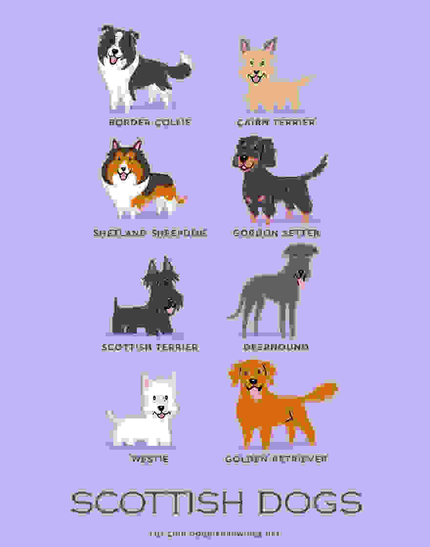Dogs-Of-The-World-Cute-Poster-Series-Shows-The-Geographic-Origin-Of-Dog-Breeds10__880.jpg