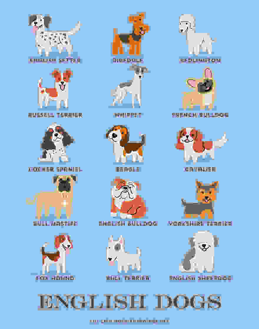 Dogs-Of-The-World-Cute-Poster-Series-Shows-The-Geographic-Origin-Of-Dog-Breeds5__880.jpg