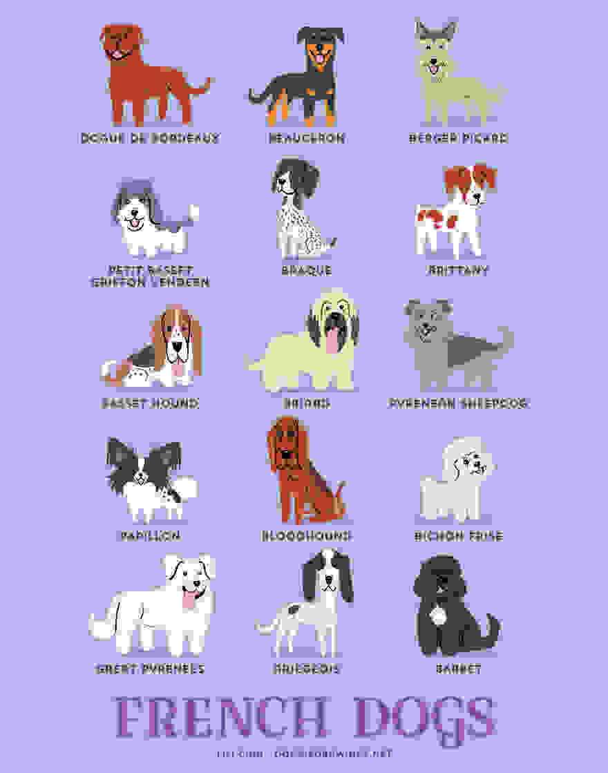 Dogs-Of-The-World-Cute-Poster-Series-Shows-The-Geographic-Origin-Of-Dog-Breeds6__880.jpg