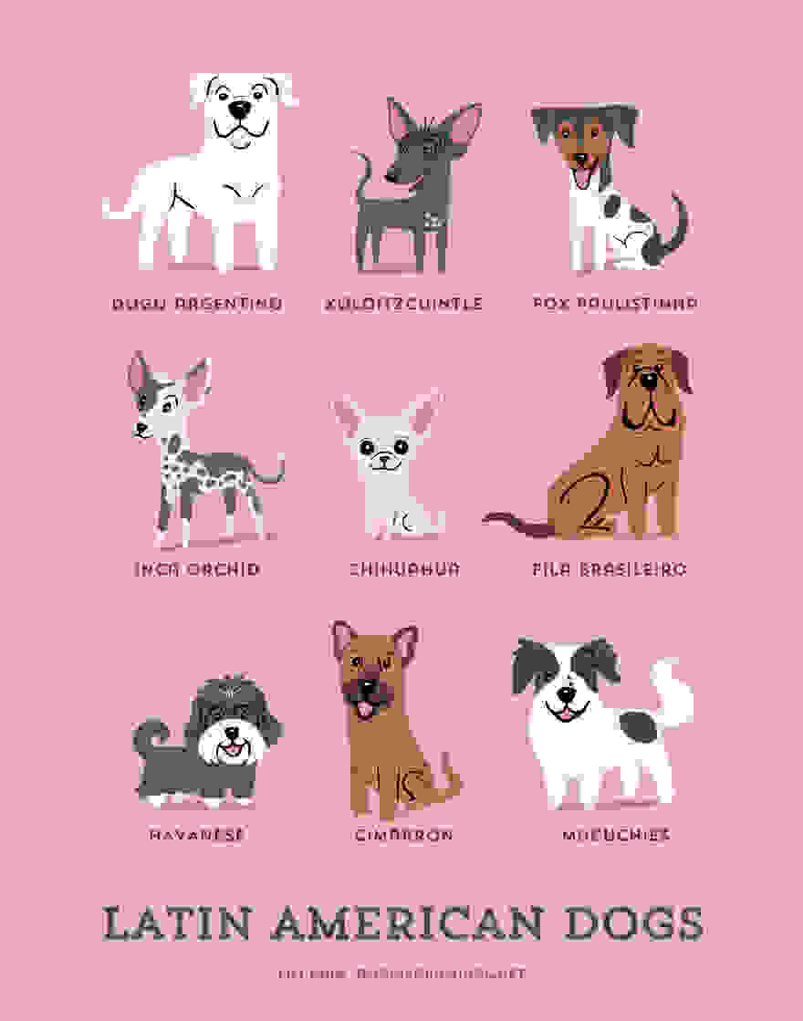 Dogs-Of-The-World-Cute-Poster-Series-Shows-The-Geographic-Origin-Of-Dog-Breeds8__880.jpg