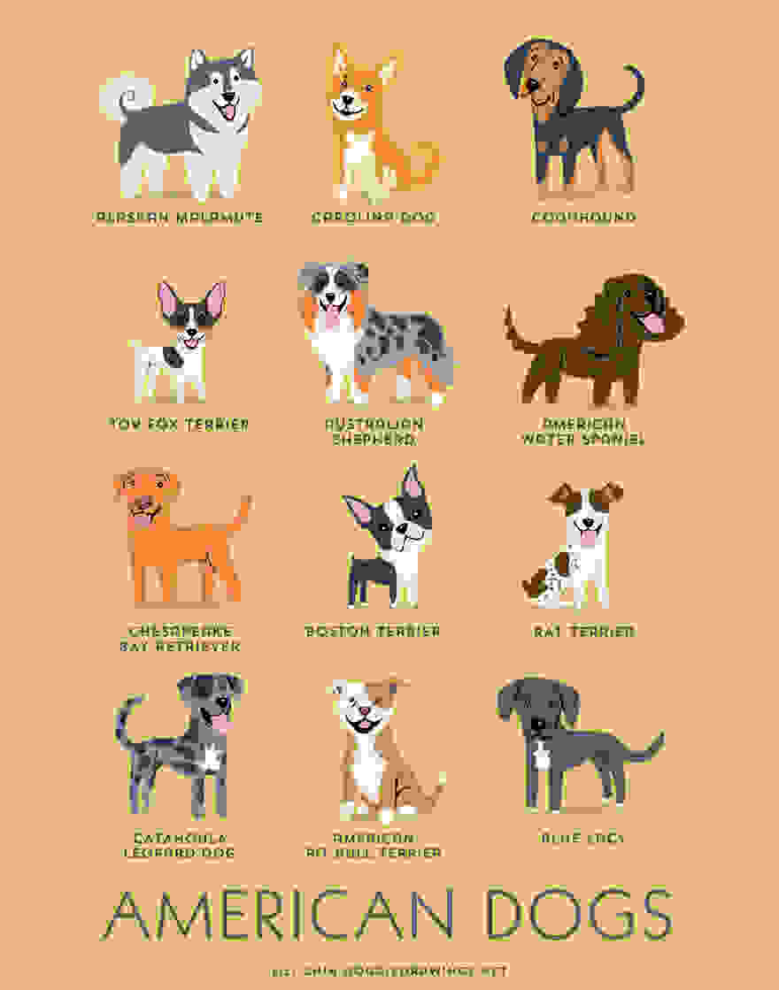 Dogs-Of-The-World-Cute-Poster-Series-Shows-The-Geographic-Origin-Of-Dog-Breeds__880.jpg