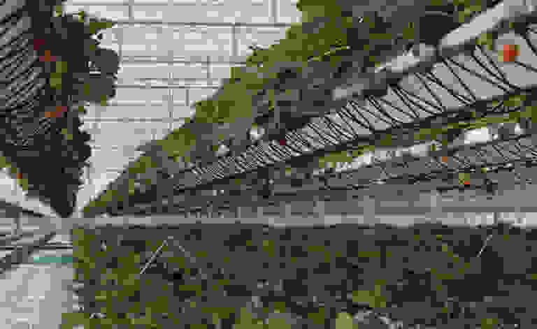 Farms2.jpg