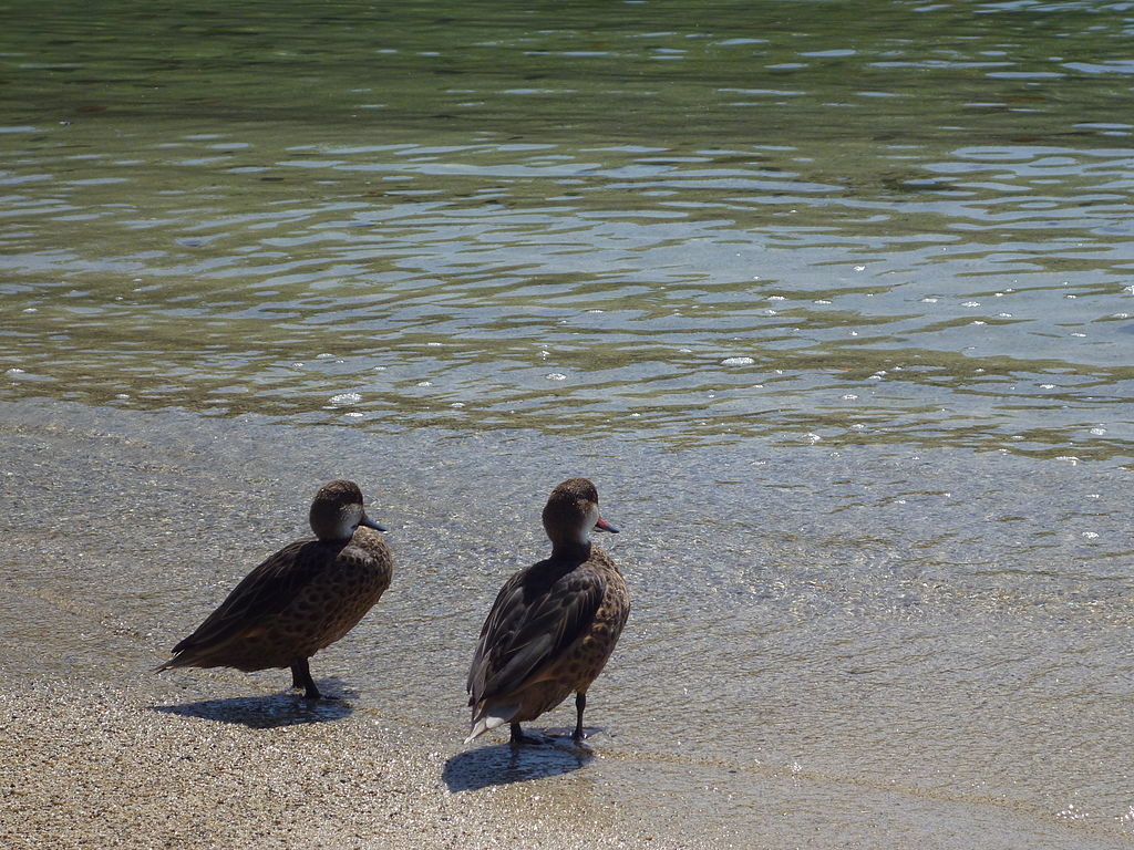 Galapagos-Island-1r.JPG