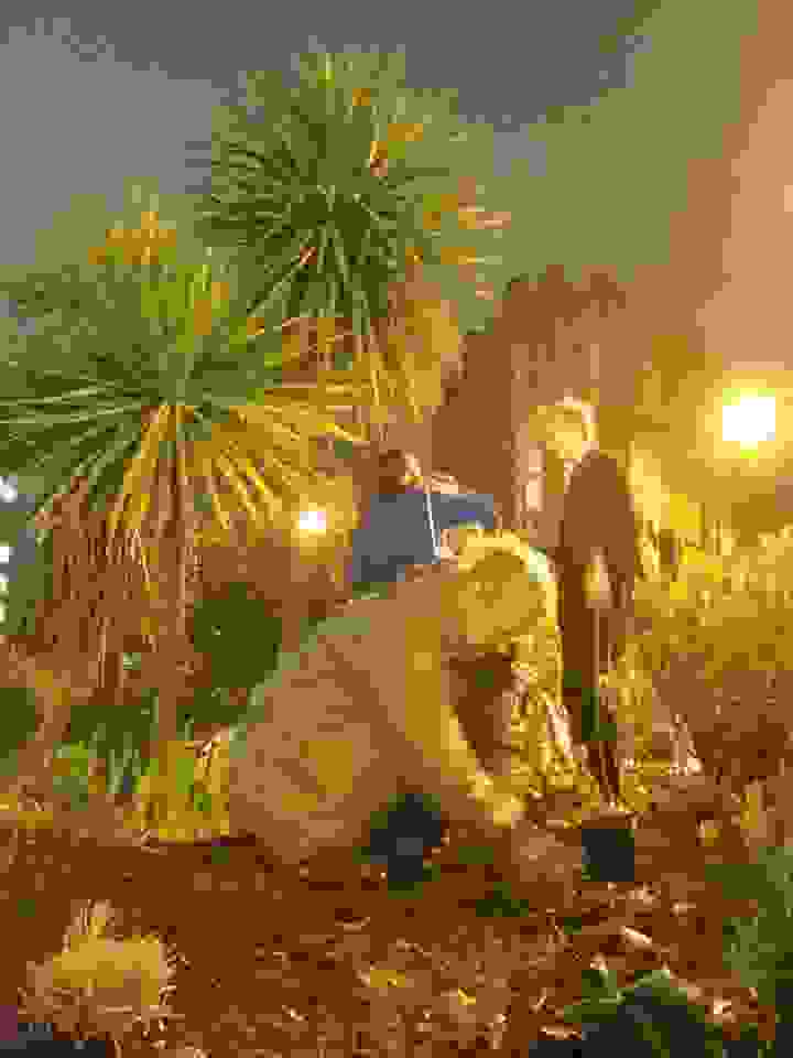 Guerilla-gardeners1.jpg