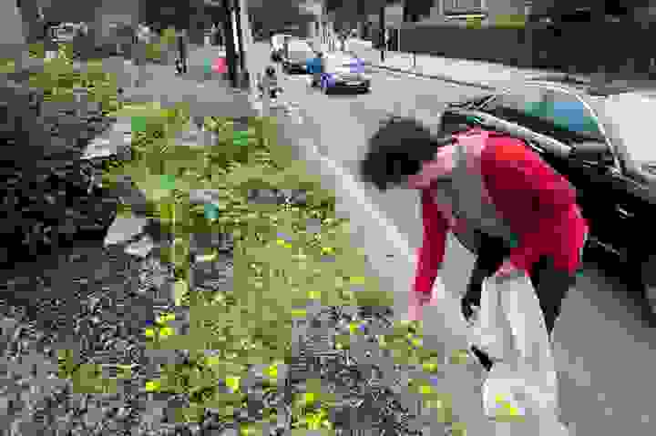 Guerilla-gardeners4.jpg