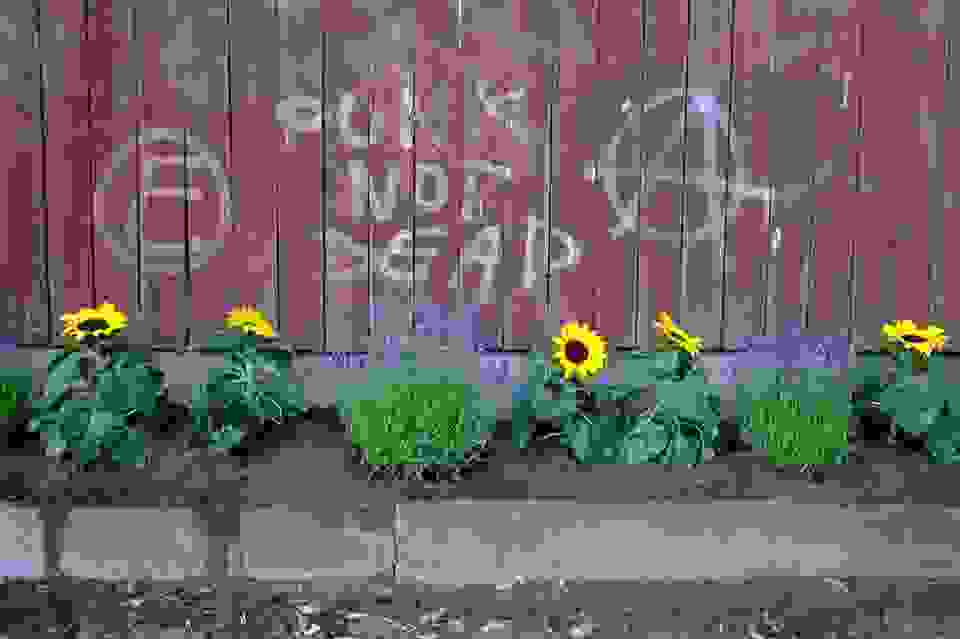 Guerilla-gardeners6.jpg