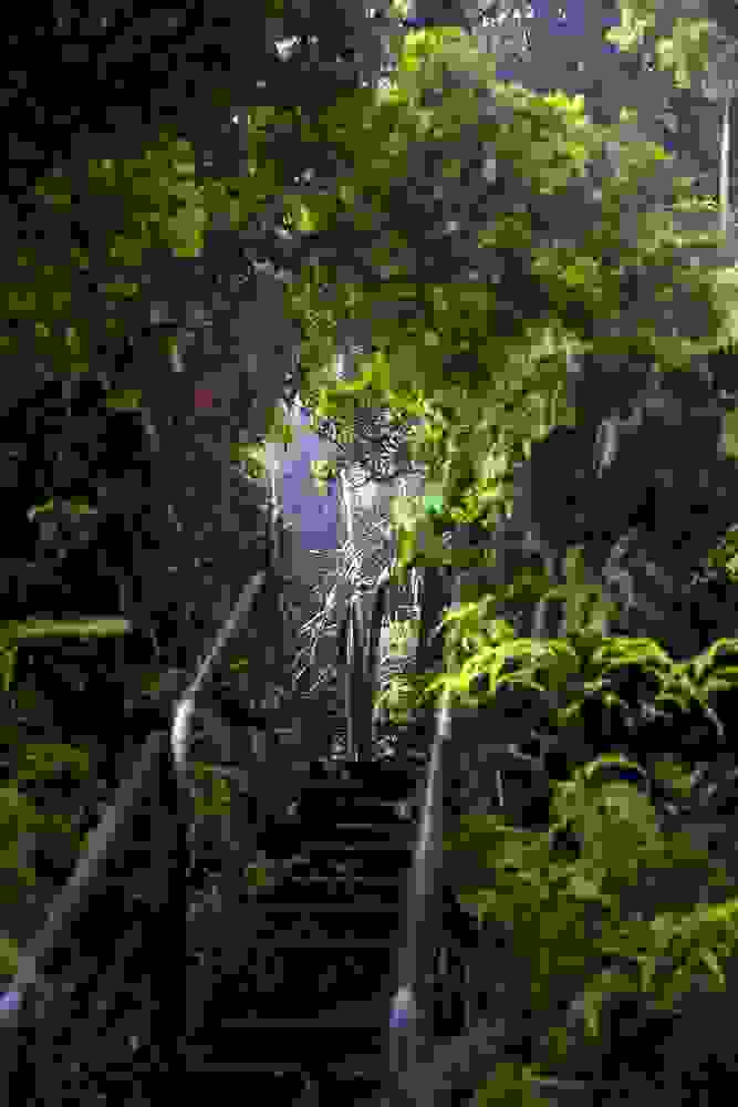 Haiku-Stairs-49.jpg
