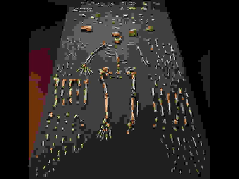 Homo-naledi14.jpg