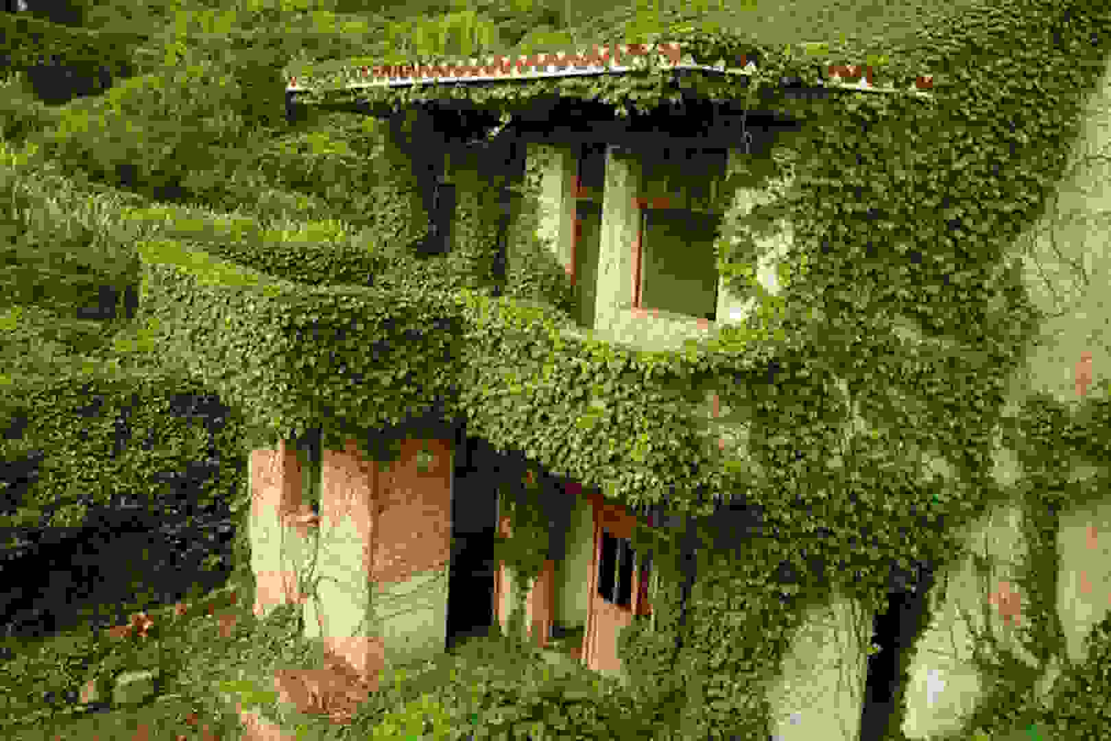 Houtuo-1.jpg