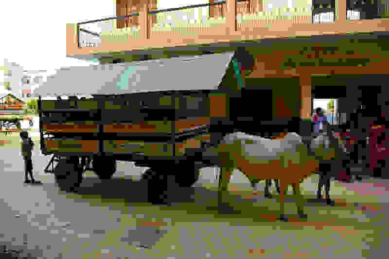 India-SchoolBus-14.jpg