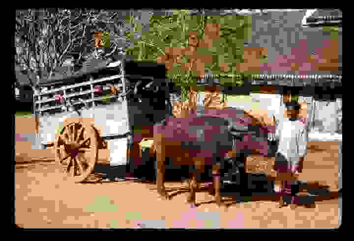 India-SchoolBus11.jpg