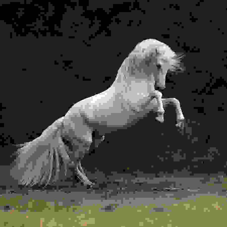 Kwiatkowski11.jpg