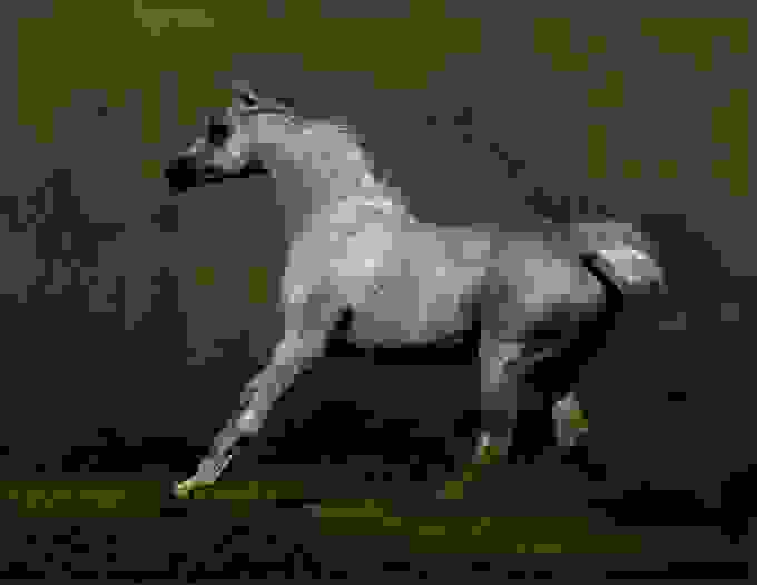 Kwiatkowski4.jpg