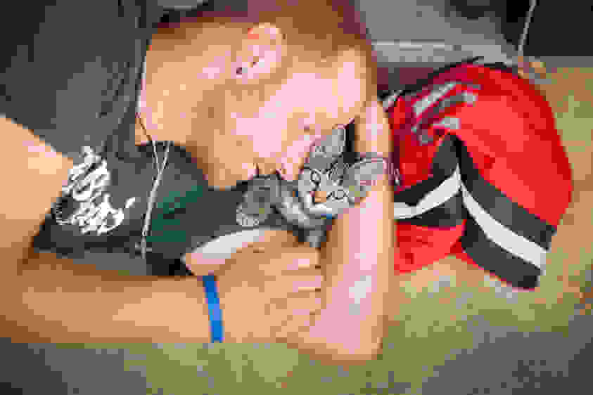 Lifelines_Homeless_and_Pets-18.jpg