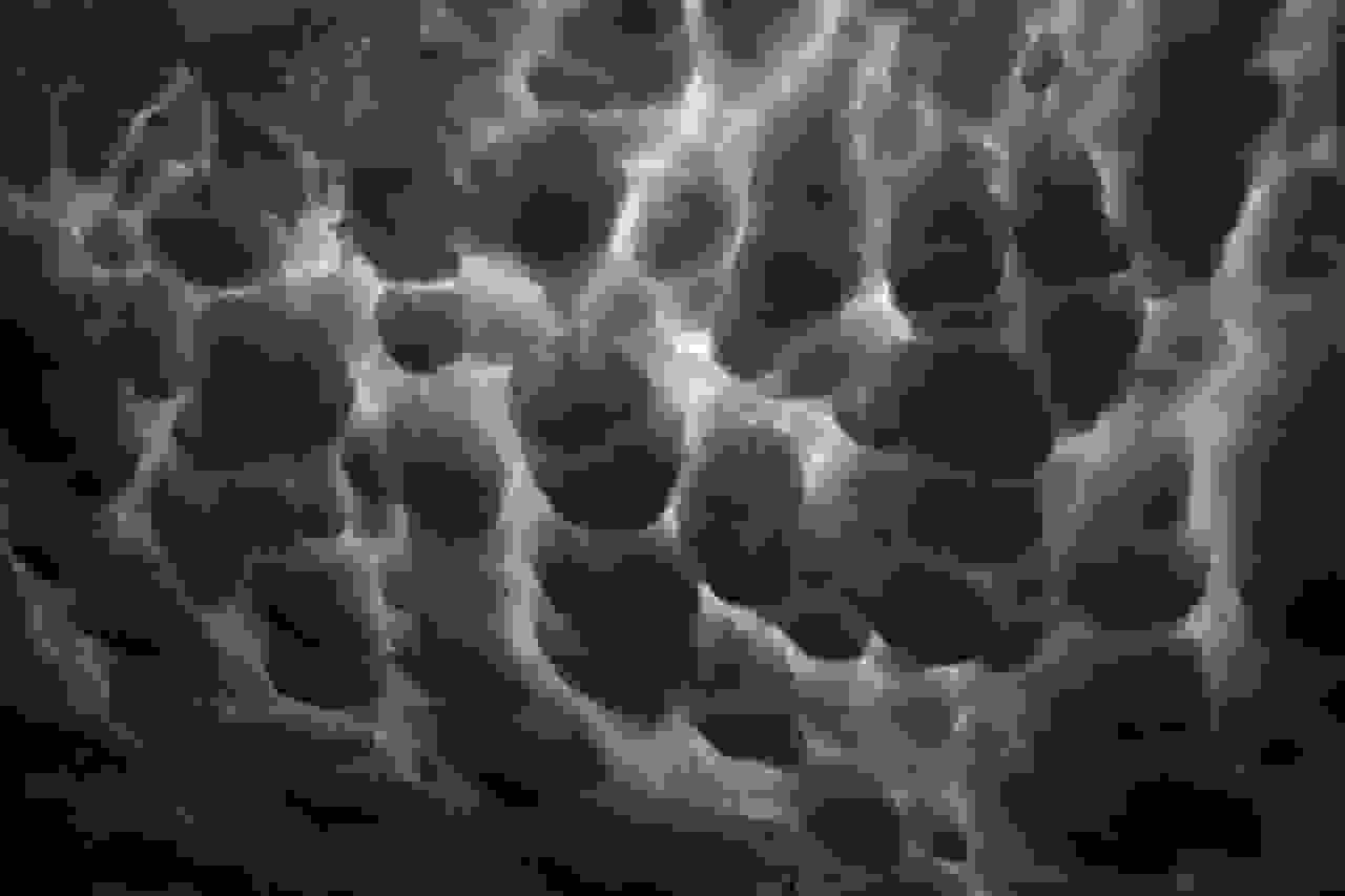 Mammatus-Clouds6.jpg